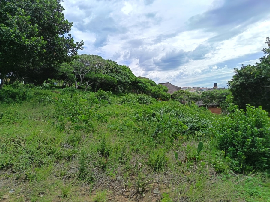 0 Bedroom Property for Sale in Bergsig Western Cape